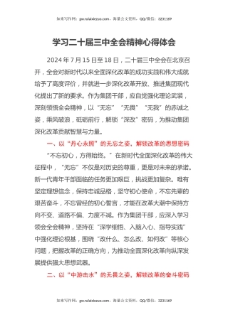 集团干部学习二十届三中全会精神心得体会