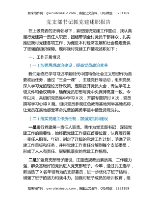 党支部书记抓党建述职报告