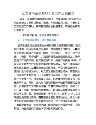 党支部书记抓基层党建工作述职报告