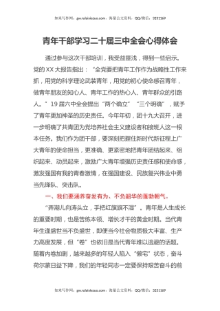 青年干部学习二十届三中全会心得体会