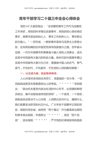 青年干部学习二十届三中全会心得体会 (2)