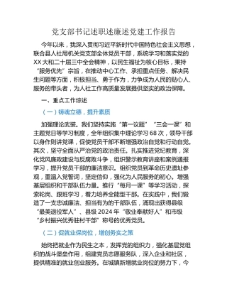 党支部书记述职述廉述党建工作报告