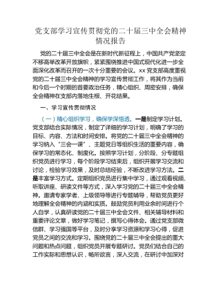 党支部学习宣传贯彻党的二十届三中全会精神情况报告