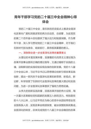 青年干部学习党的二十届三中全会精神心得体会