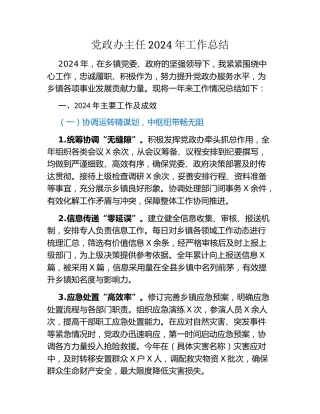 党政办主任2024年工作总结