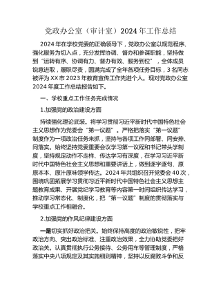 党政办公室（审计室）2024年工作总结