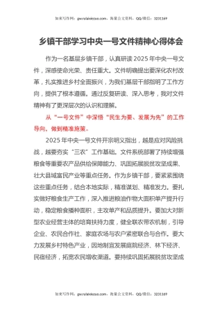 乡镇干部学习中央一号文件精神心得体会