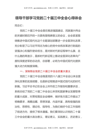 领导干部学习党的二十届三中全会心得体会