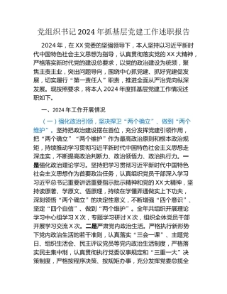 党组织书记2024年抓基层党建工作述职报告