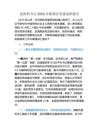 党组织书记2024年抓基层党建述职报告