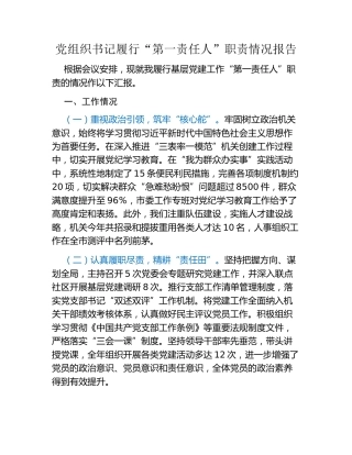 党组织书记履行“第一责任人”职责情况报告