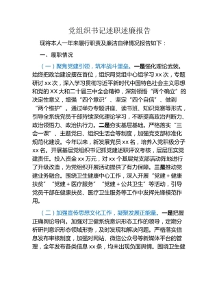 党组织书记述职述廉报告