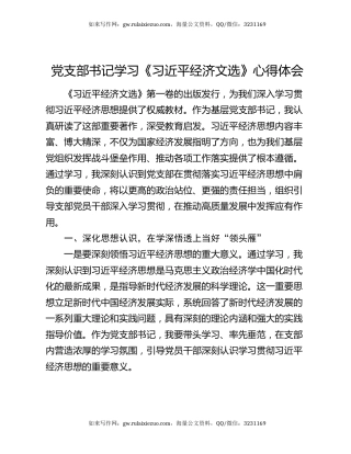 党支部书记学习《习近平经济文选》心得体会