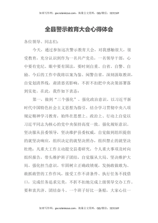 全县警示教育大会心得体会（2）