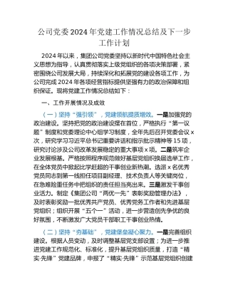 公司党委2024年党建工作情况总结及下一步工作计划
