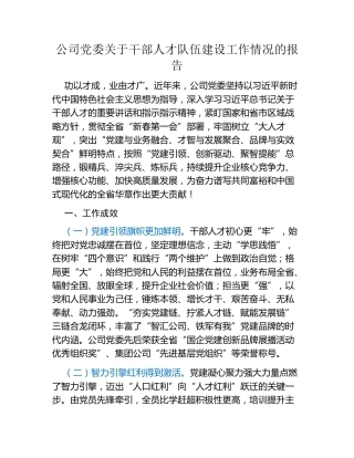公司党委关于干部人才队伍建设工作情况的报告