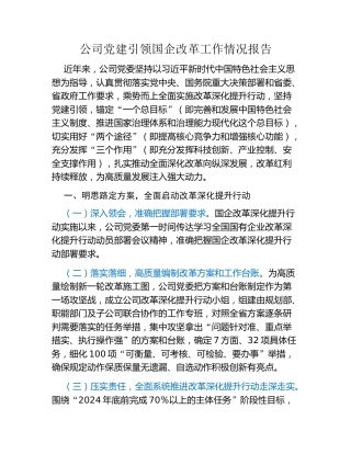 公司党建引领国企改革工作情况报告