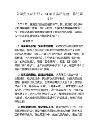 公司党支部书记2024年抓基层党建工作述职报告