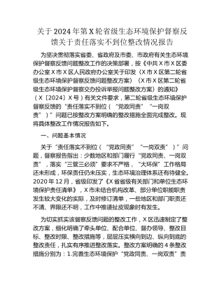 关于2024年第X轮省级生态环境保护督察反馈关于责任落实不到位整改情况报告