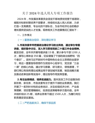 关于2024年选人用人专项工作报告