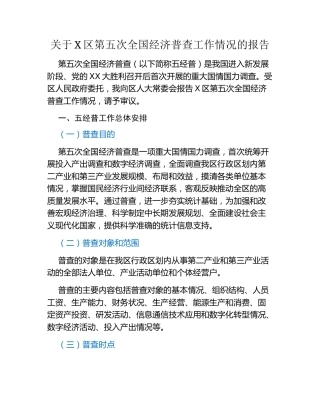 关于X区第五次全国经济普查工作情况的报告