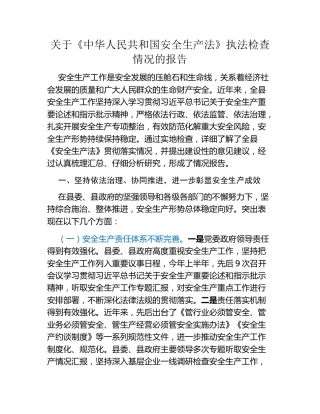 关于《中华人民共和国安全生产法》执法检查情况的报告