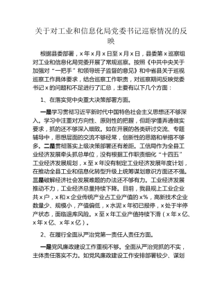 关于对工业和信息化局党委书记巡察情况的反映