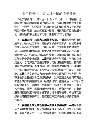 关于巡察审计局党组书记的情况反映