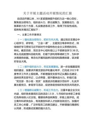 关于开展主题活动开展情况的汇报