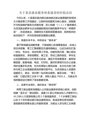 关于某县就业服务体系建设的经验总结