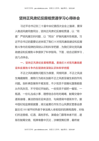 坚持正风肃纪反腐相贯通学习心得体会