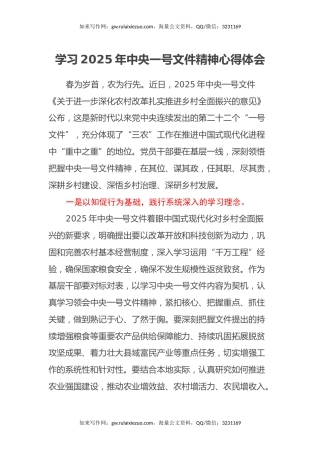 学习2025年中央一号文件精神心得体会