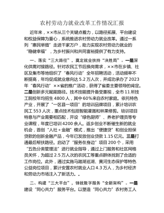 农村劳动力就业改革工作情况汇报