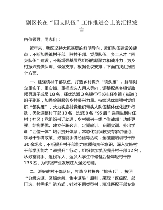 副区长在“四支队伍”工作推进会上的汇报发言