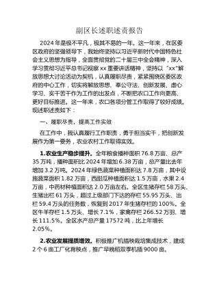 副区长述职述责报告