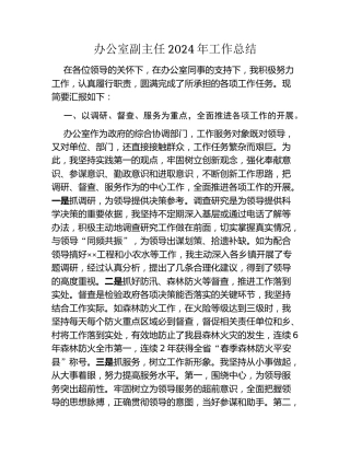 办公室副主任2024年工作总结