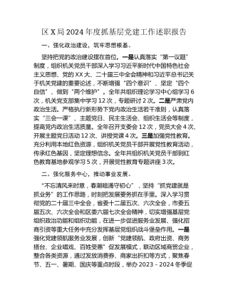 区X局2024年度抓基层党建工作述职报告