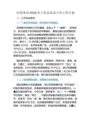 区商务局2024年工作总结及下步工作计划