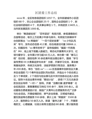 区团委工作总结