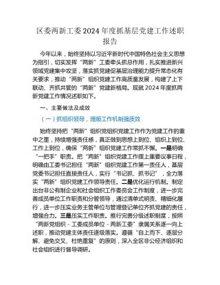 区委两新工委2024年度抓基层党建工作述职报告