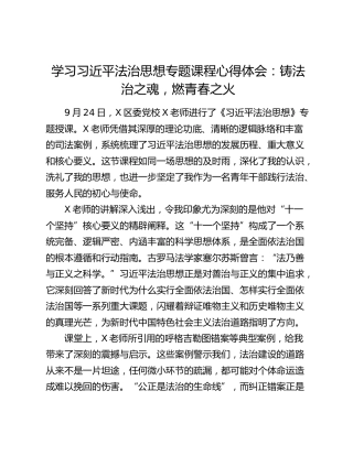 学习习近平法治思想专题课程心得体会：铸法治之魂，燃青春之火