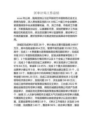 区审计局工作总结