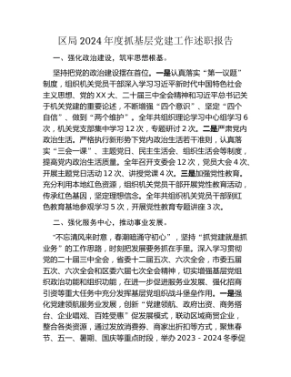区局2024年度抓基层党建工作述职报告