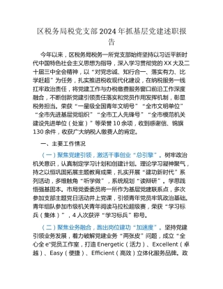 区税务局税党支部2024年抓基层党建述职报告