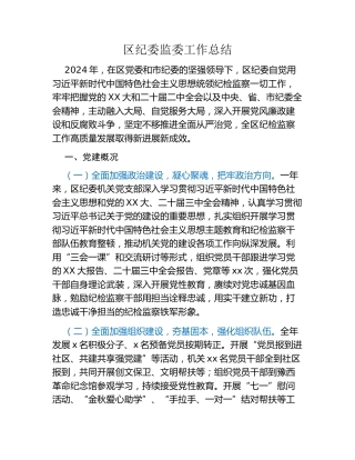 区纪委监委工作总结