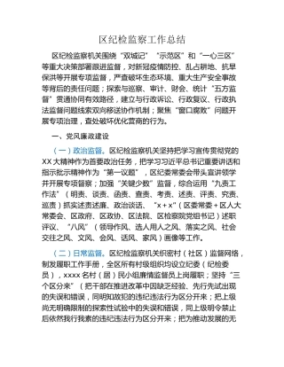 区纪检监察工作总结