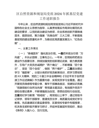 区自然资源和规划局党组2024年抓基层党建工作述职报告