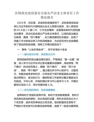 区财政局党组落实全面从严治党主体责任工作情况报告