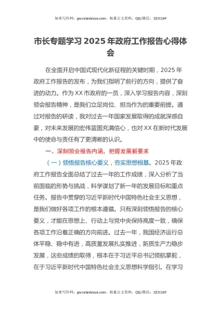 市长专题学习2025年政府工作报告心得体会