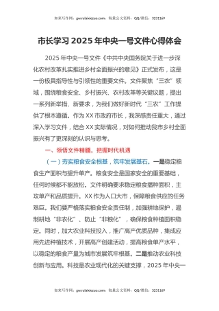 市长学习2025年中央一号文件心得体会